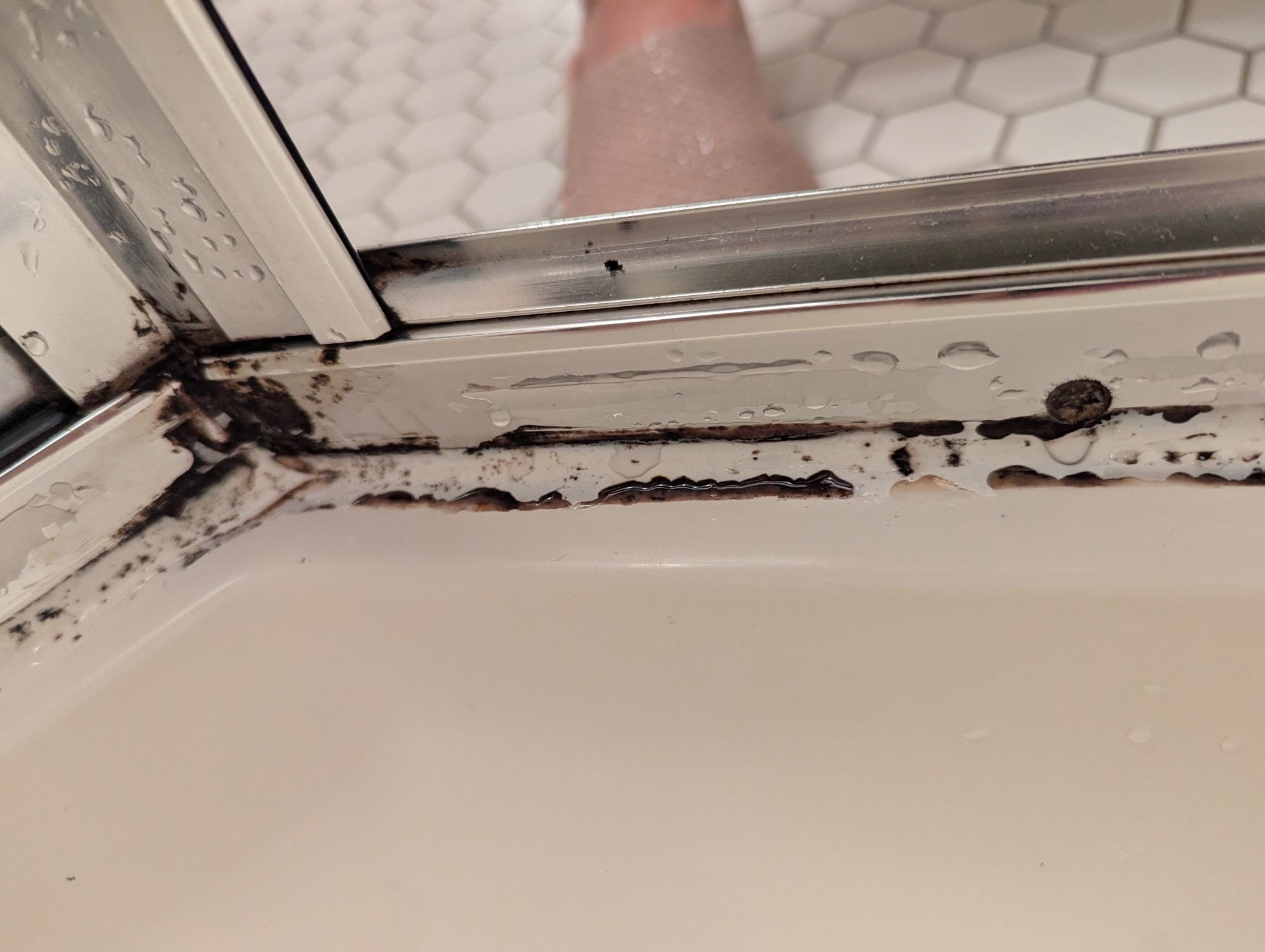 black mold on downstairs shower