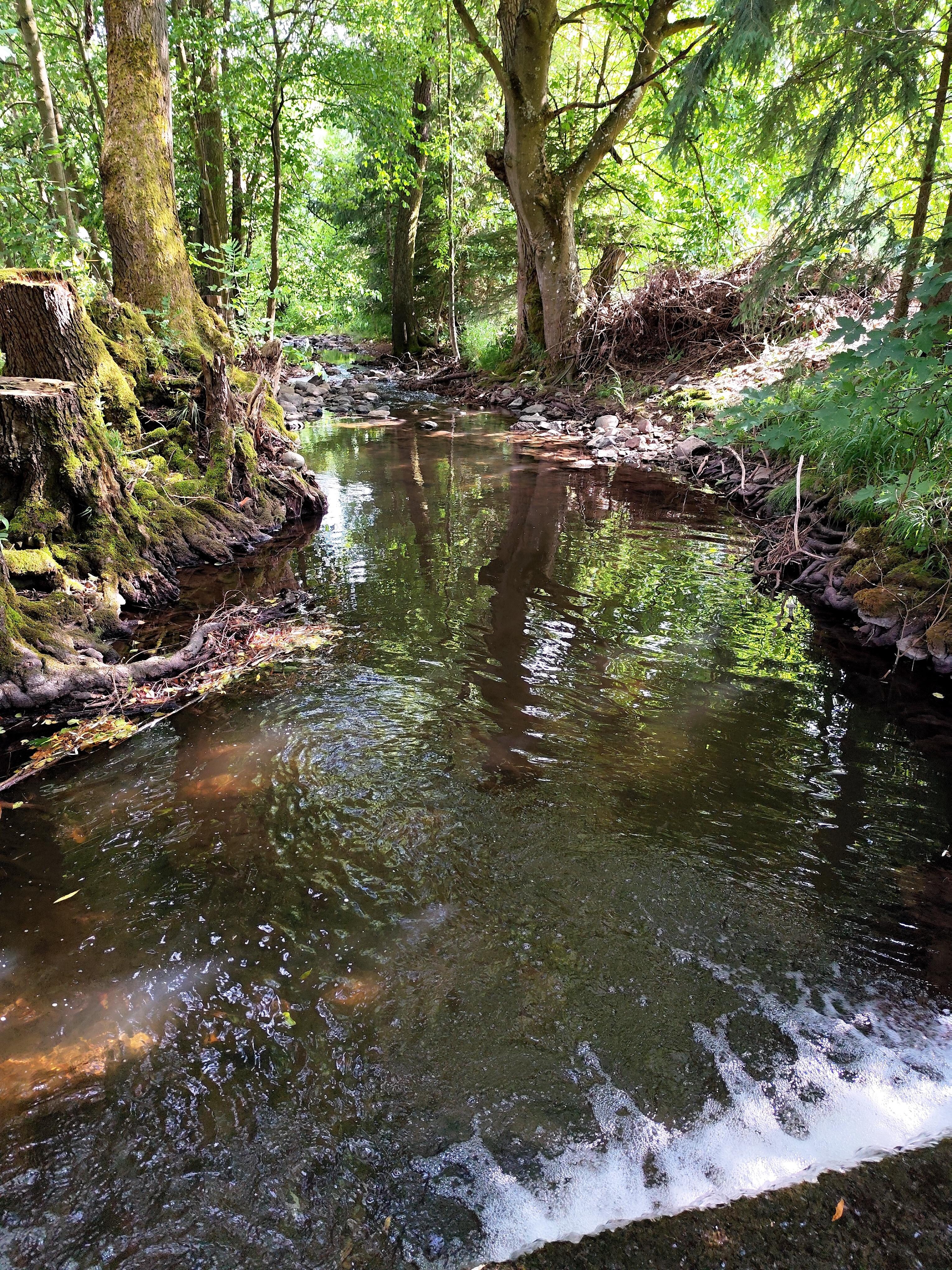 Der kleine Bach Els, mit Zugang zum Füße abkühlen.