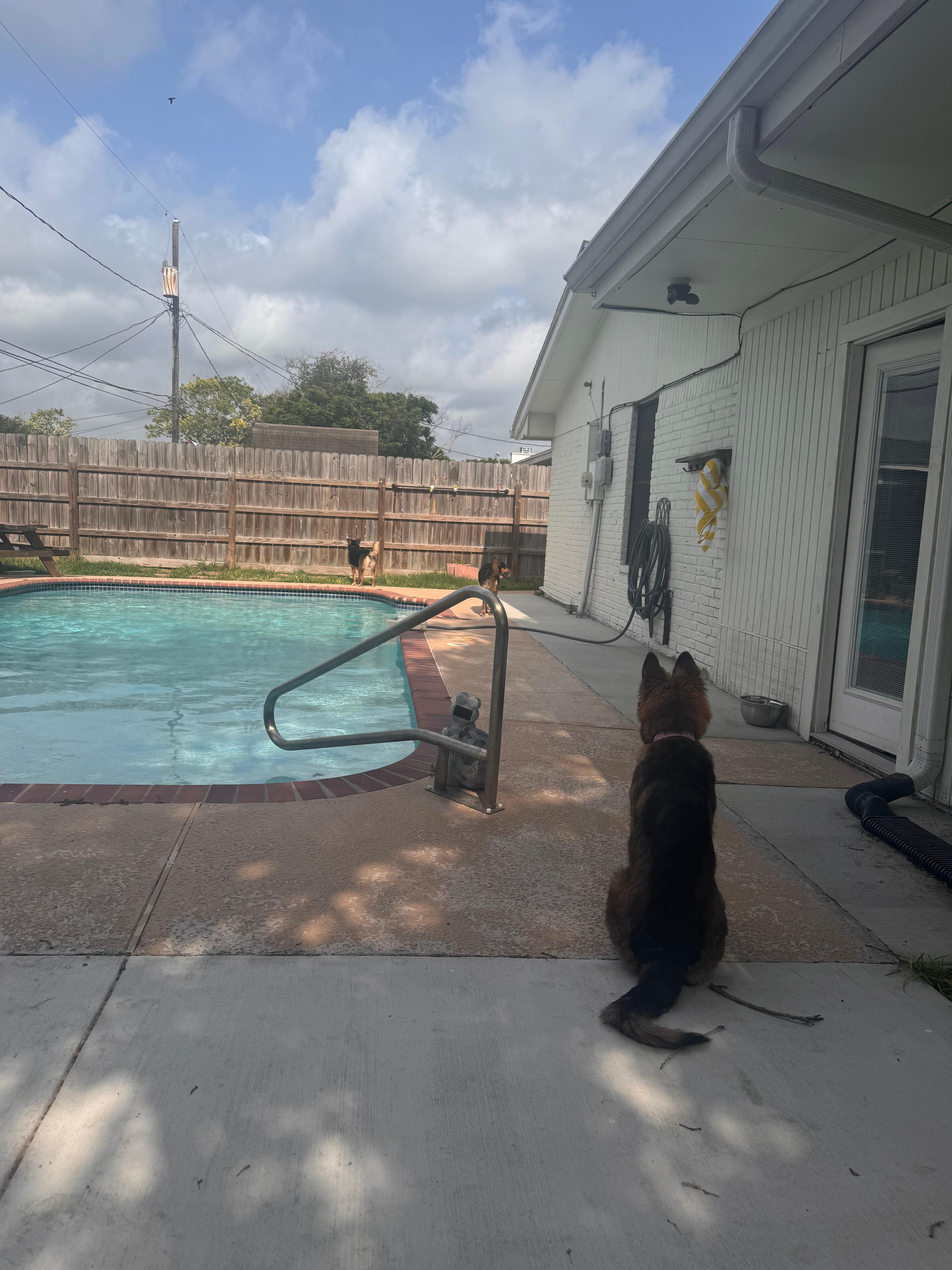The pool was awesome!! And warm 