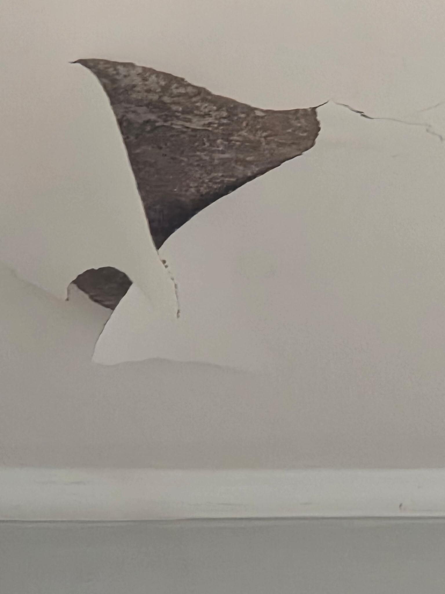 Ceiling in the hallway