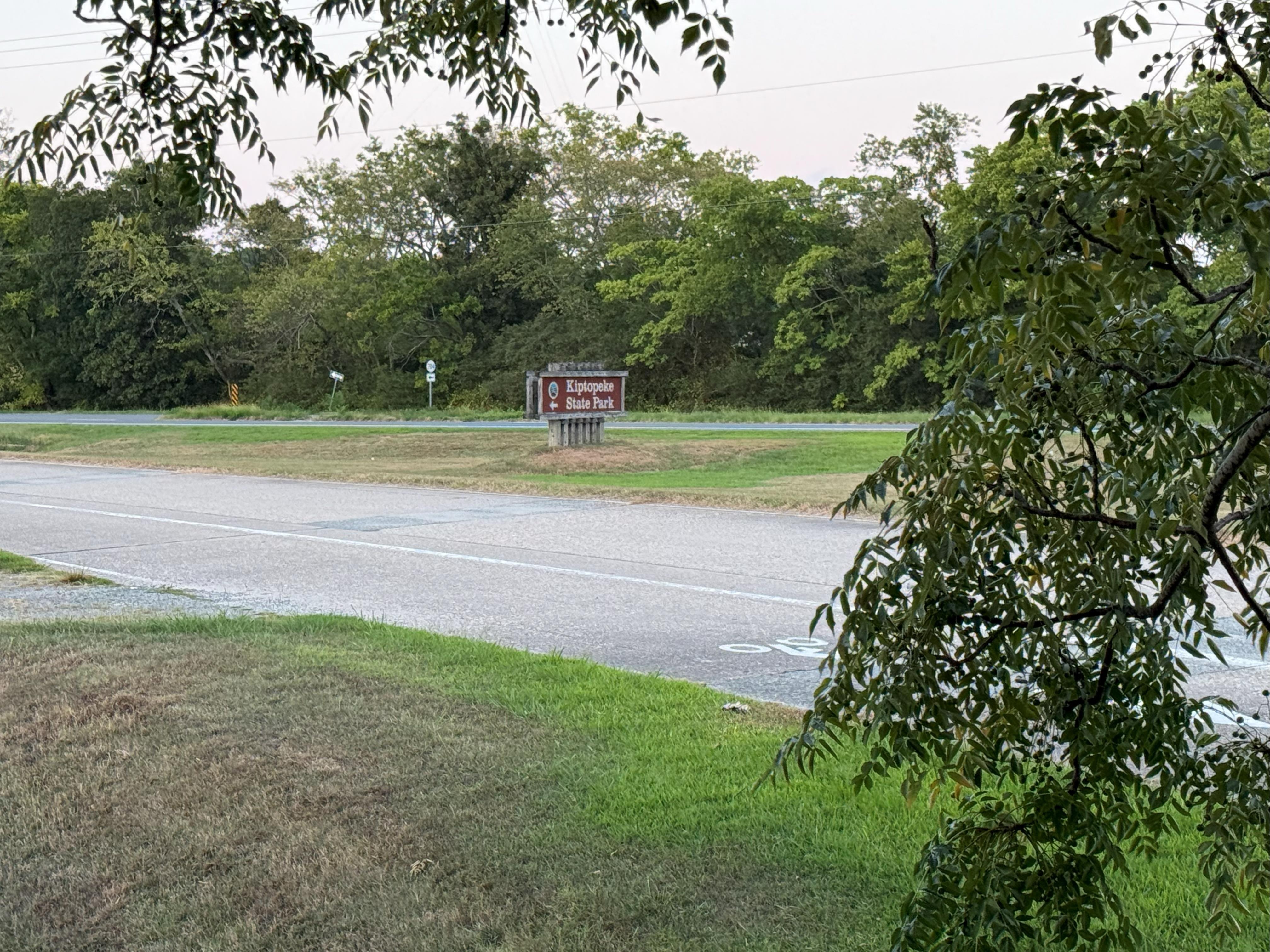 View from the house's property