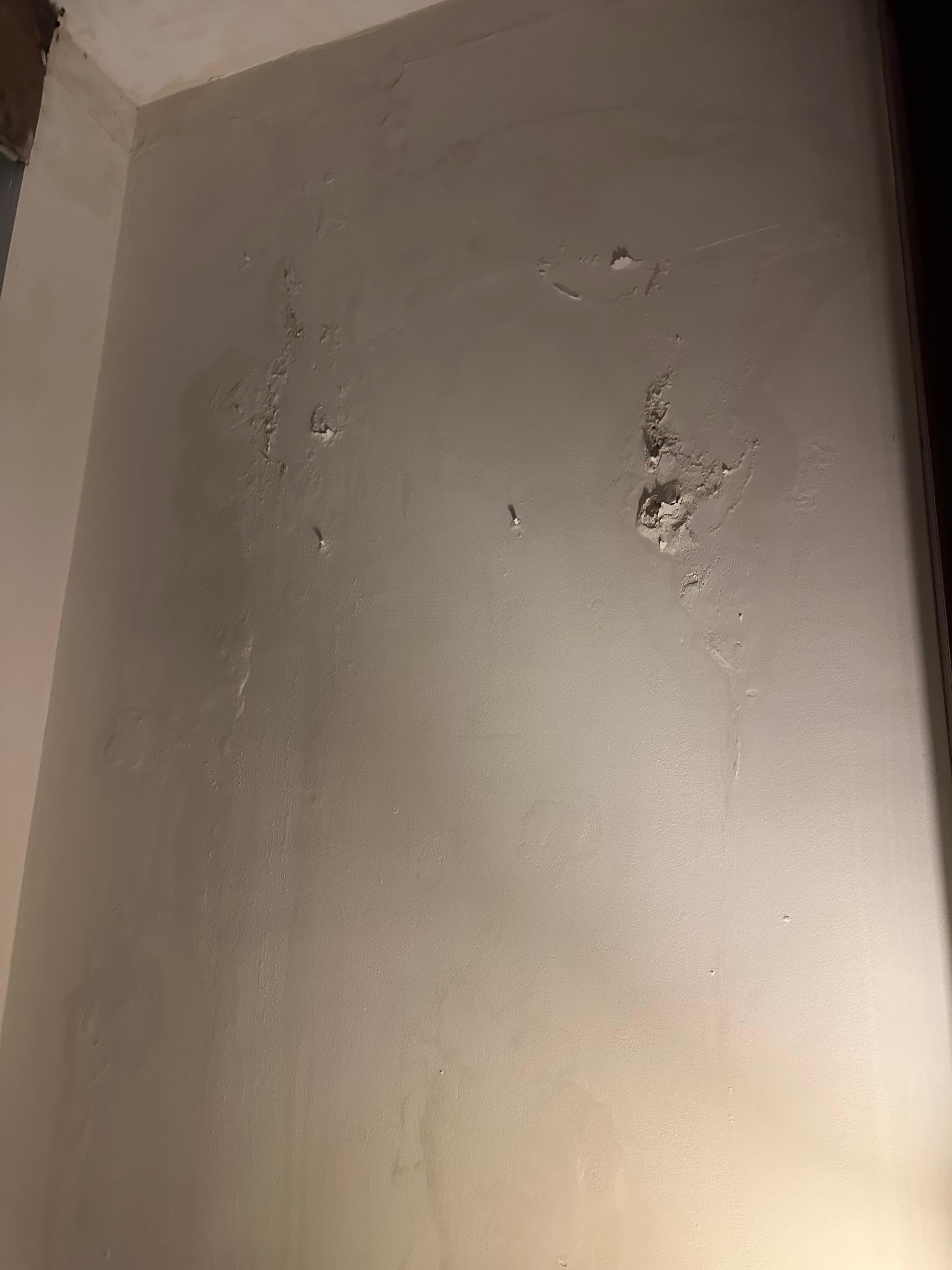 Paint peeling off walls and damp