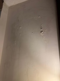 Paint peeling off walls and damp