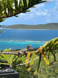 Can you find the friend? He’s green and super cute