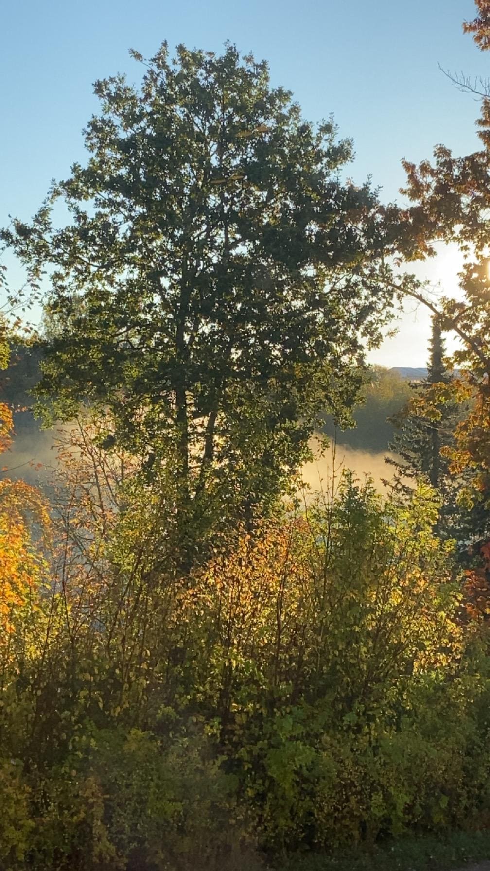 Udsigten fra vores værelse