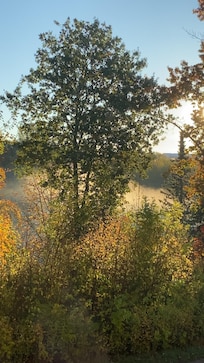 Udsigten fra vores værelse