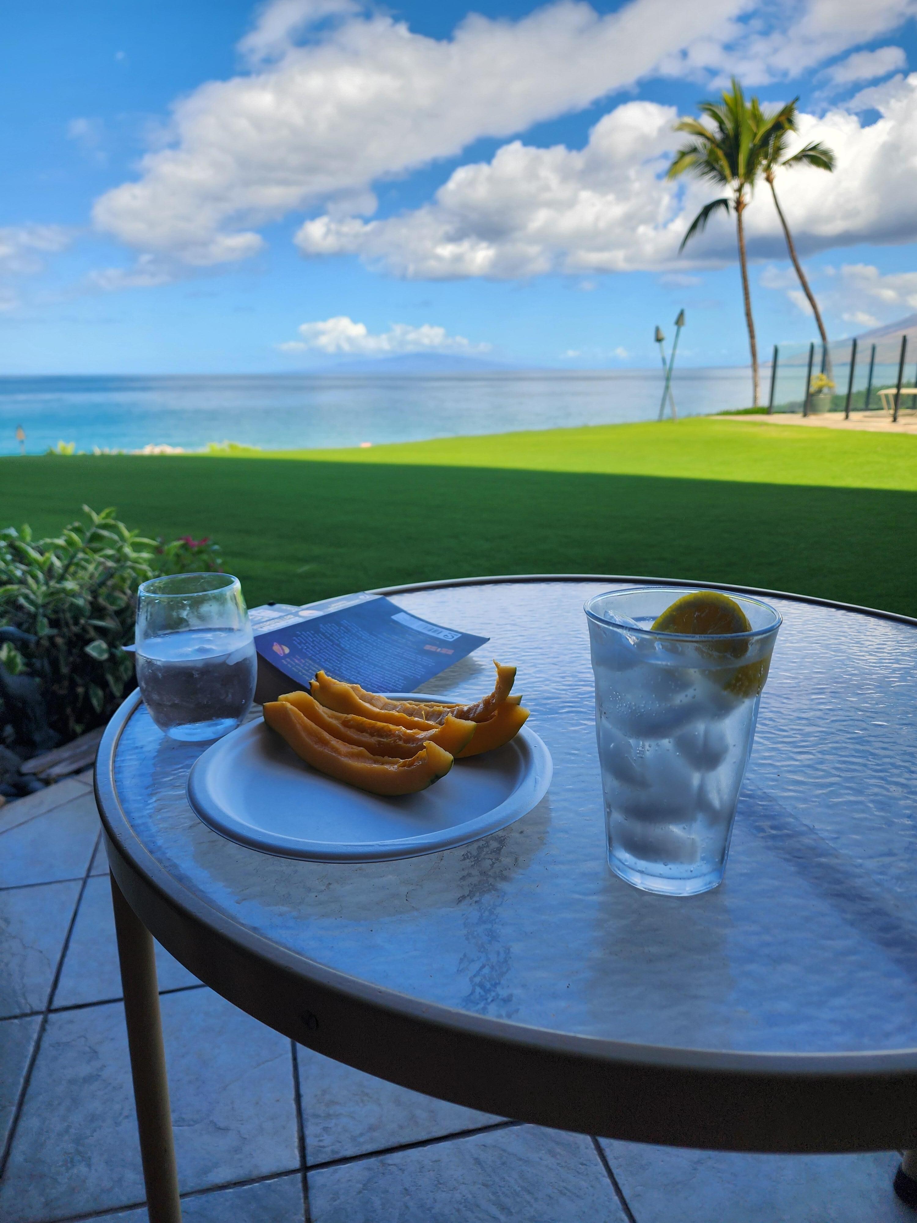 View sitting on the patio