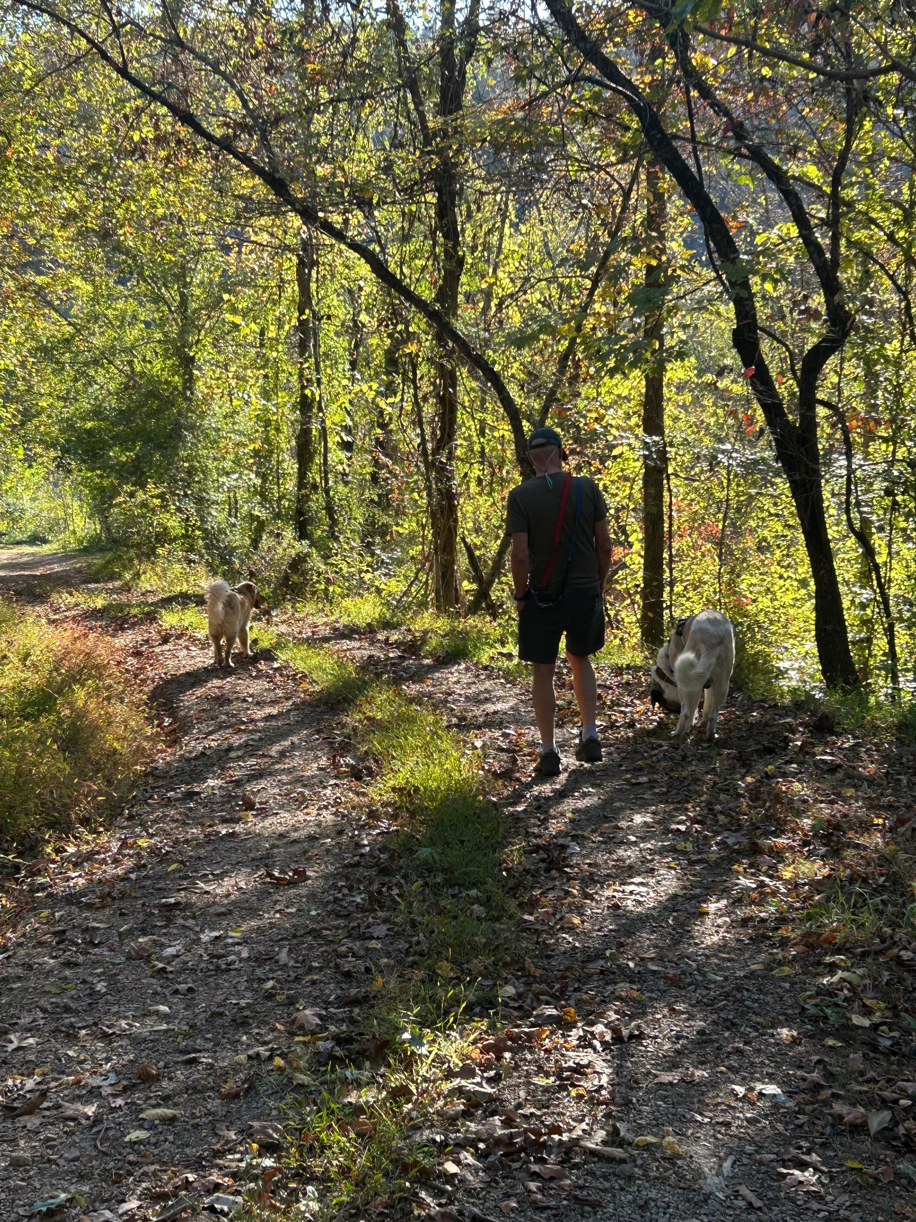 Along the road by the cabin