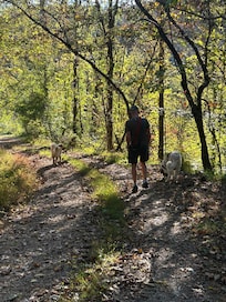 Along the road by the cabin