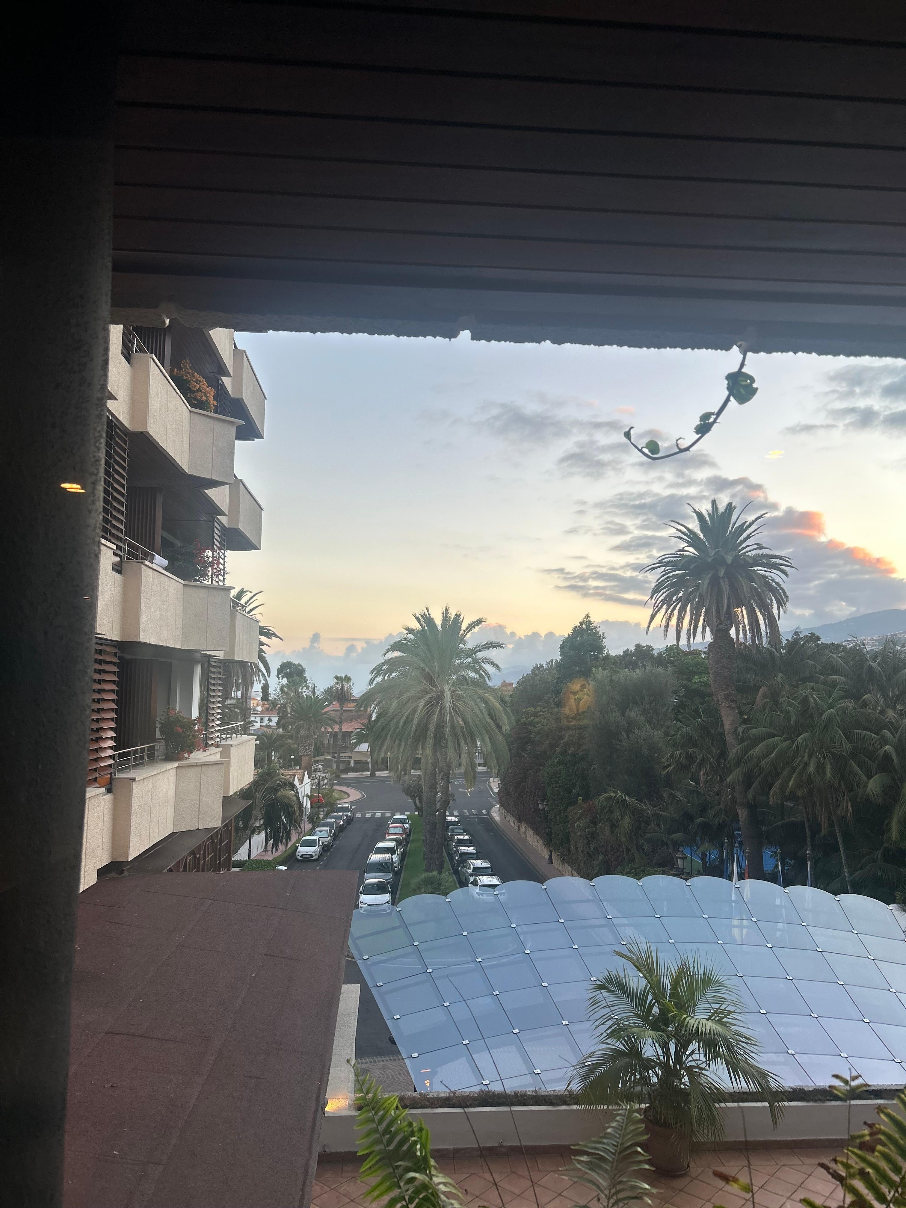 Junior suite with suppose garden view showing no garden view just noisy to road a trees hiding garden 