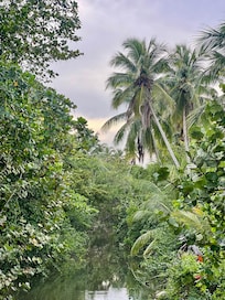 River view from walkable bridge