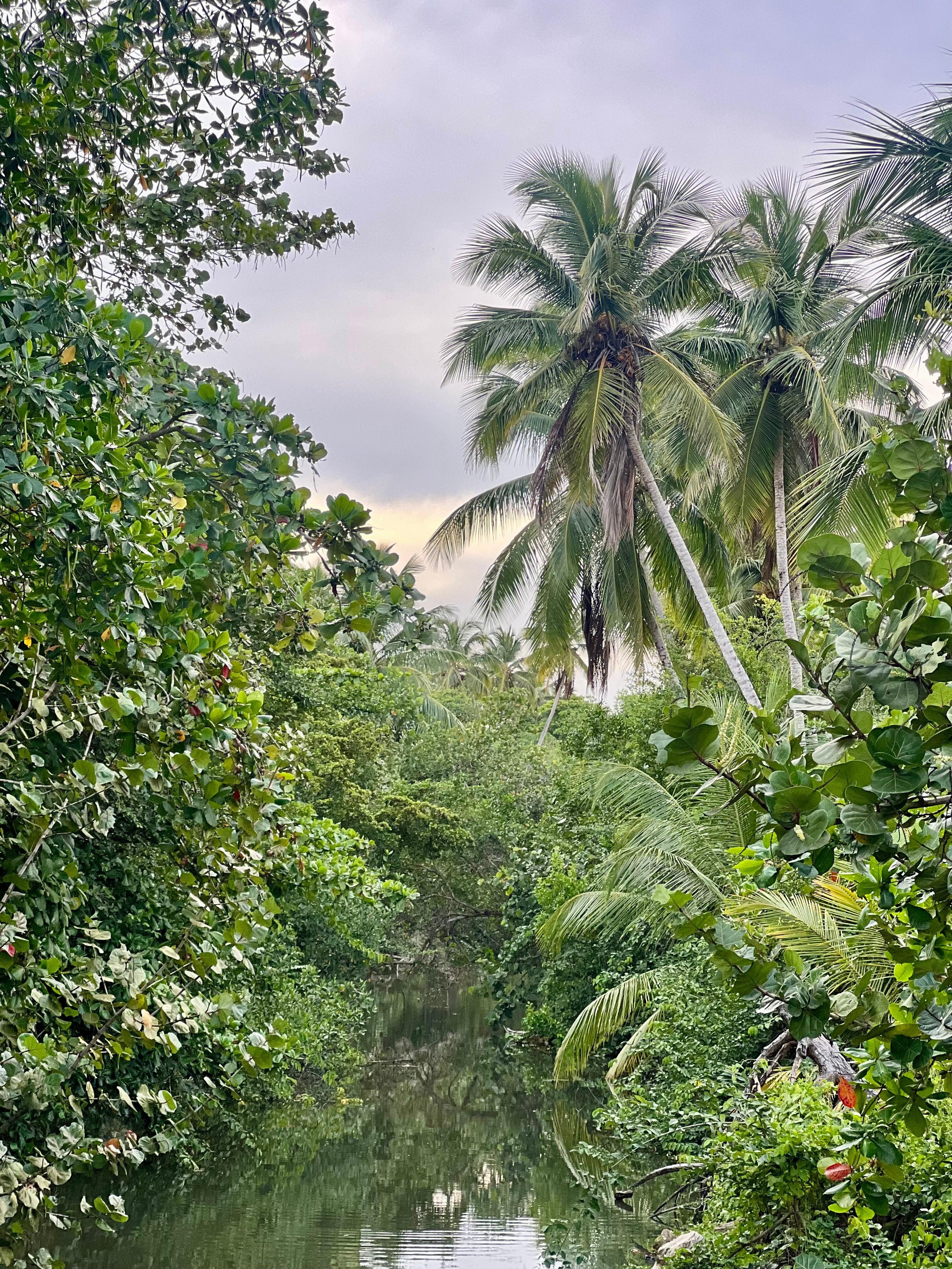 River view from walkable bridge 