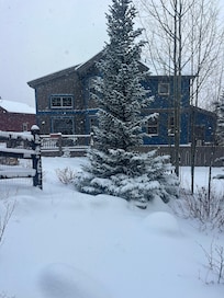 Our view of the backyard when we left.