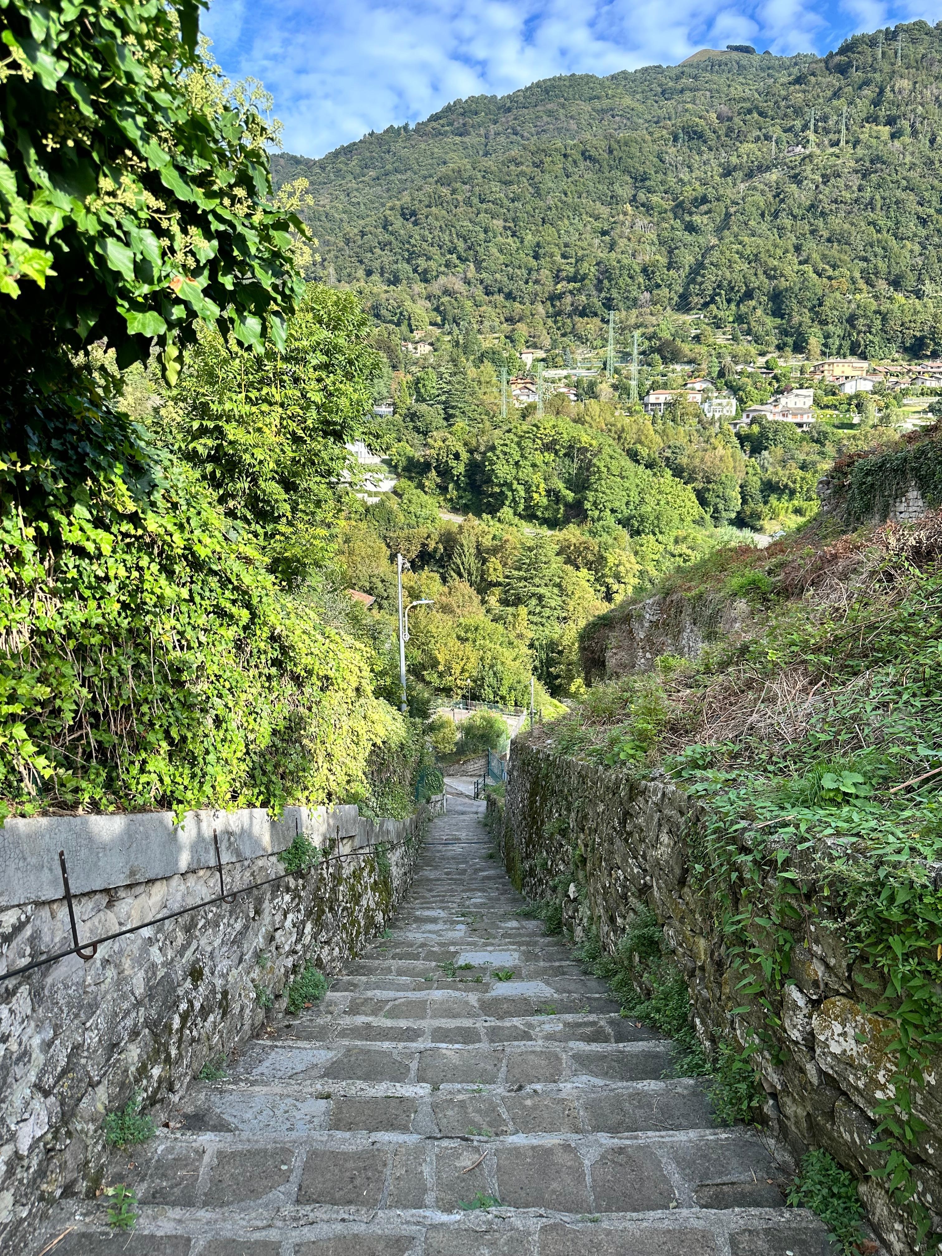 stairs leading to walking path