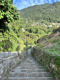 stairs leading to walking path