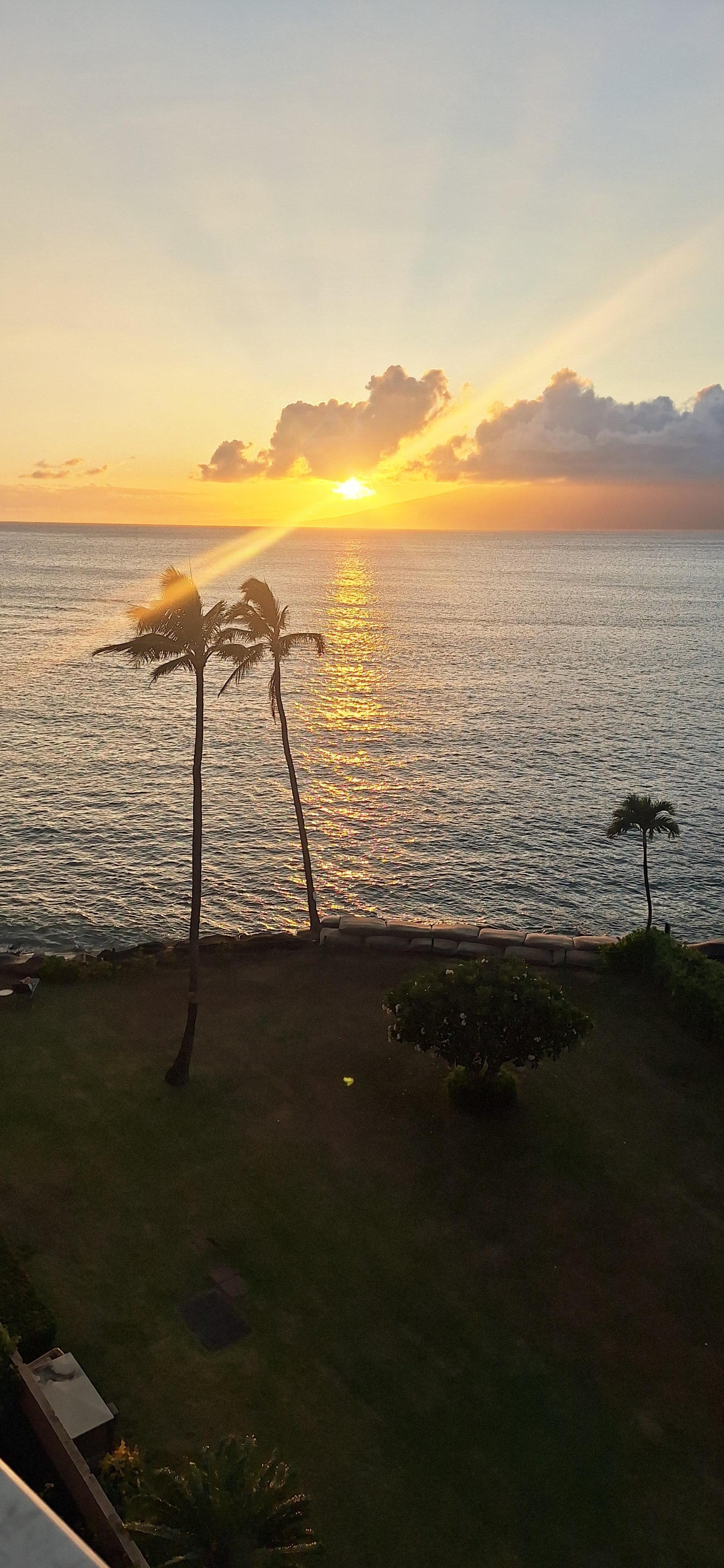 View from Room 606