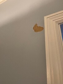 The dining room wall !!! This should not be in such an upscale property.