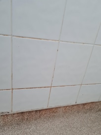 The shower with no curtain