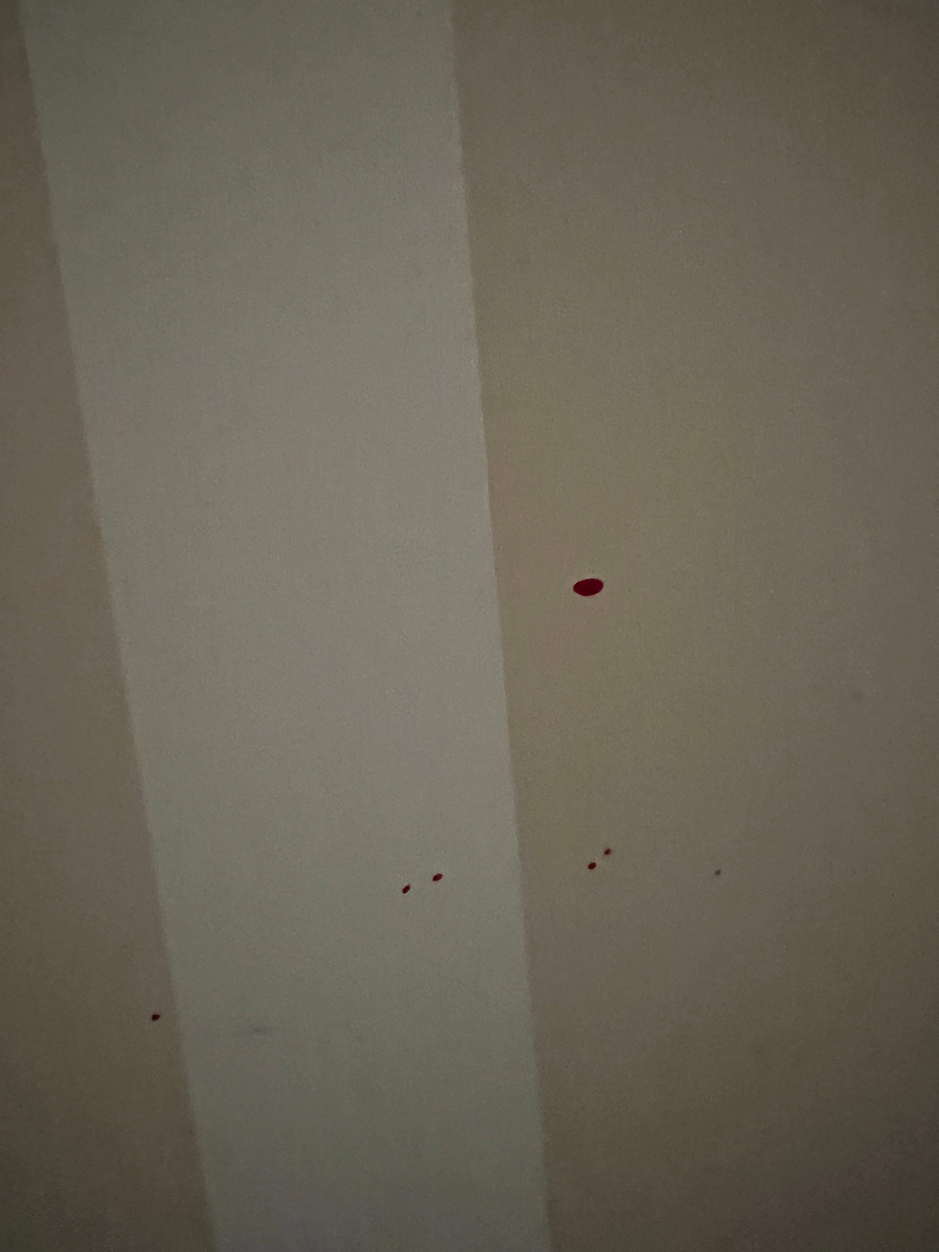 what appears to be blood 