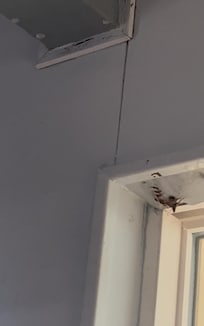 Water leaking from rain and rotted window frame