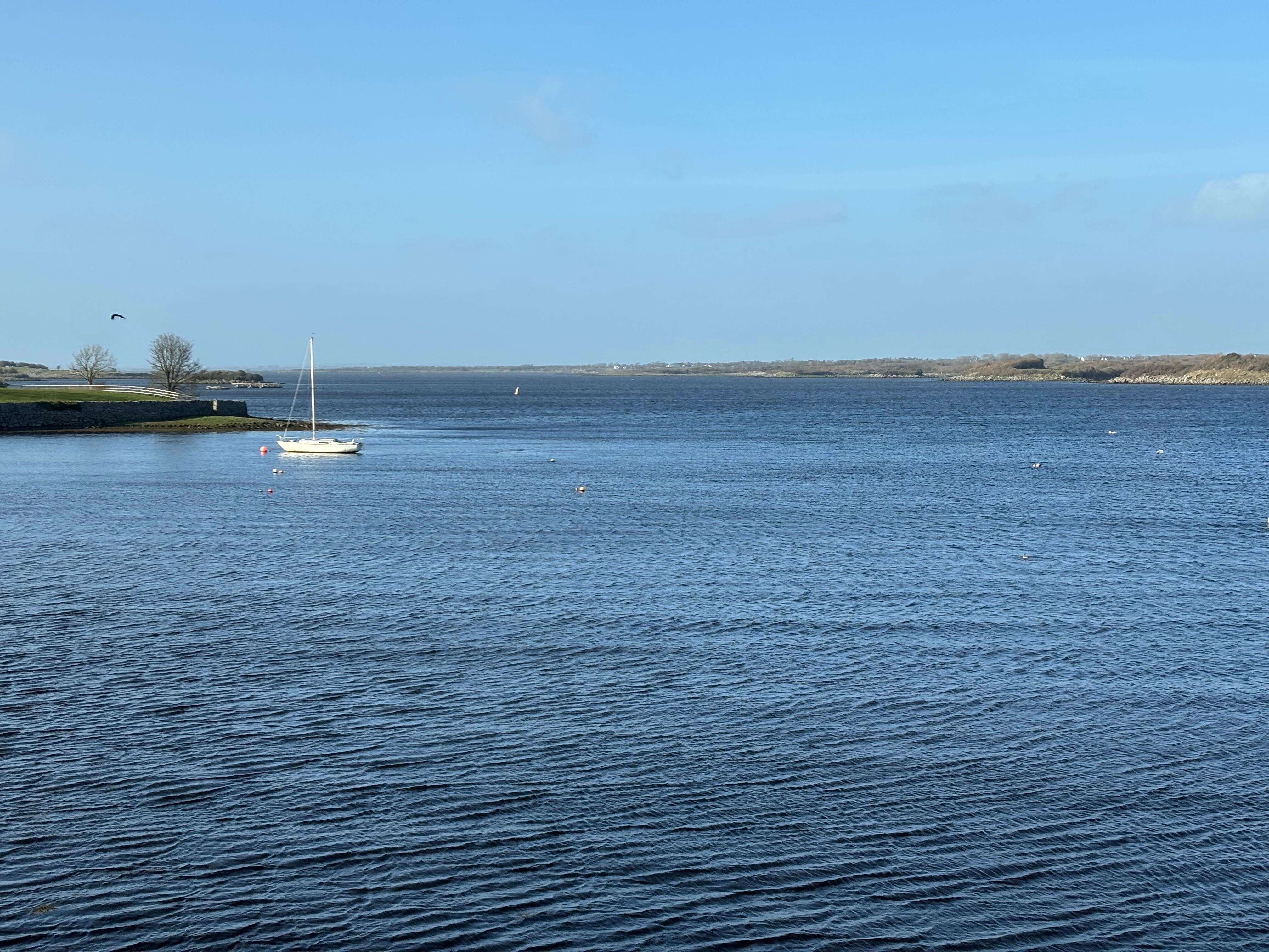 View from the front door!