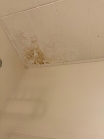 Ceiling