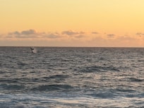 Whale siting from pool.