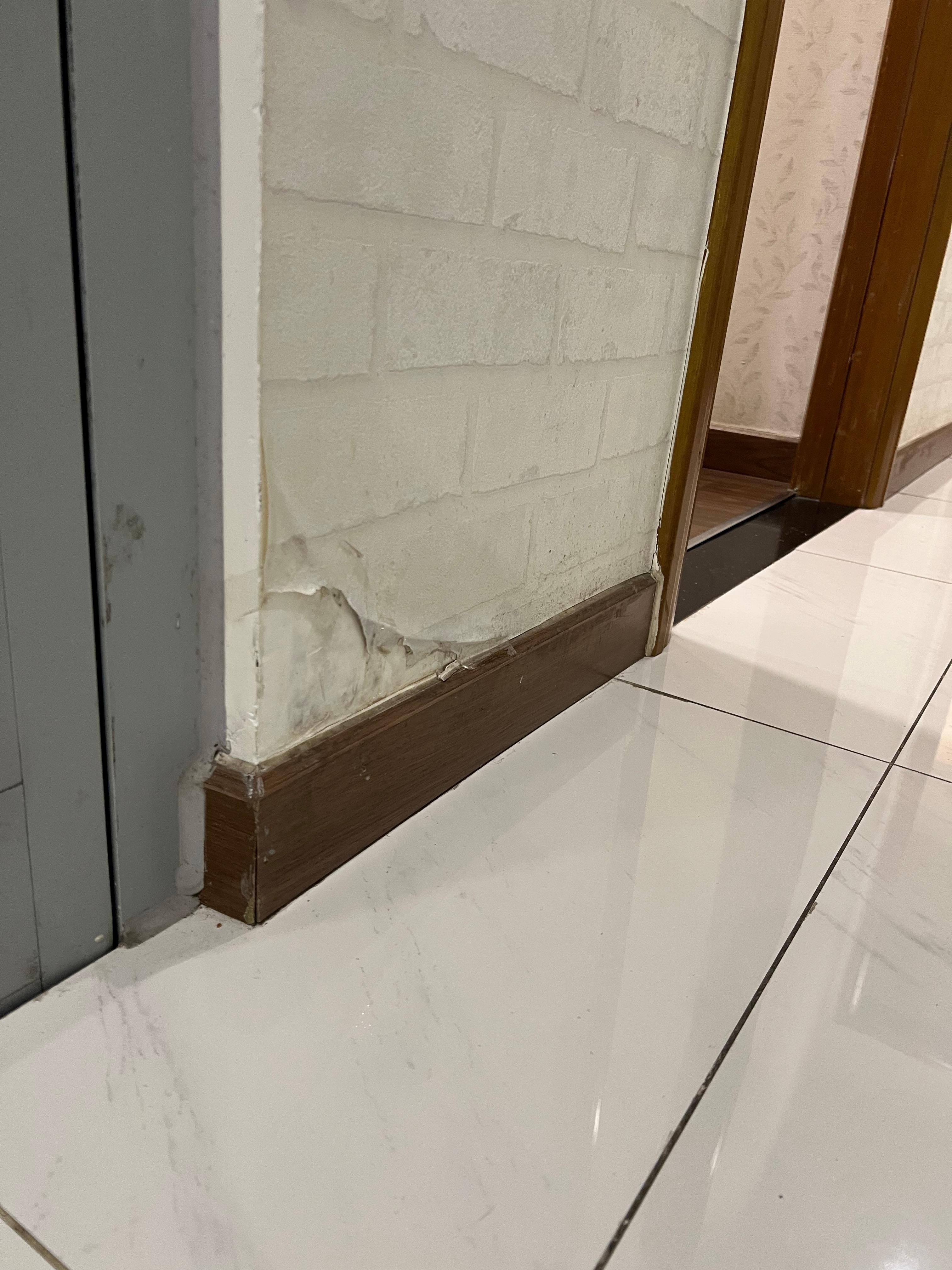 Wall paper peeled everywhere and mold 