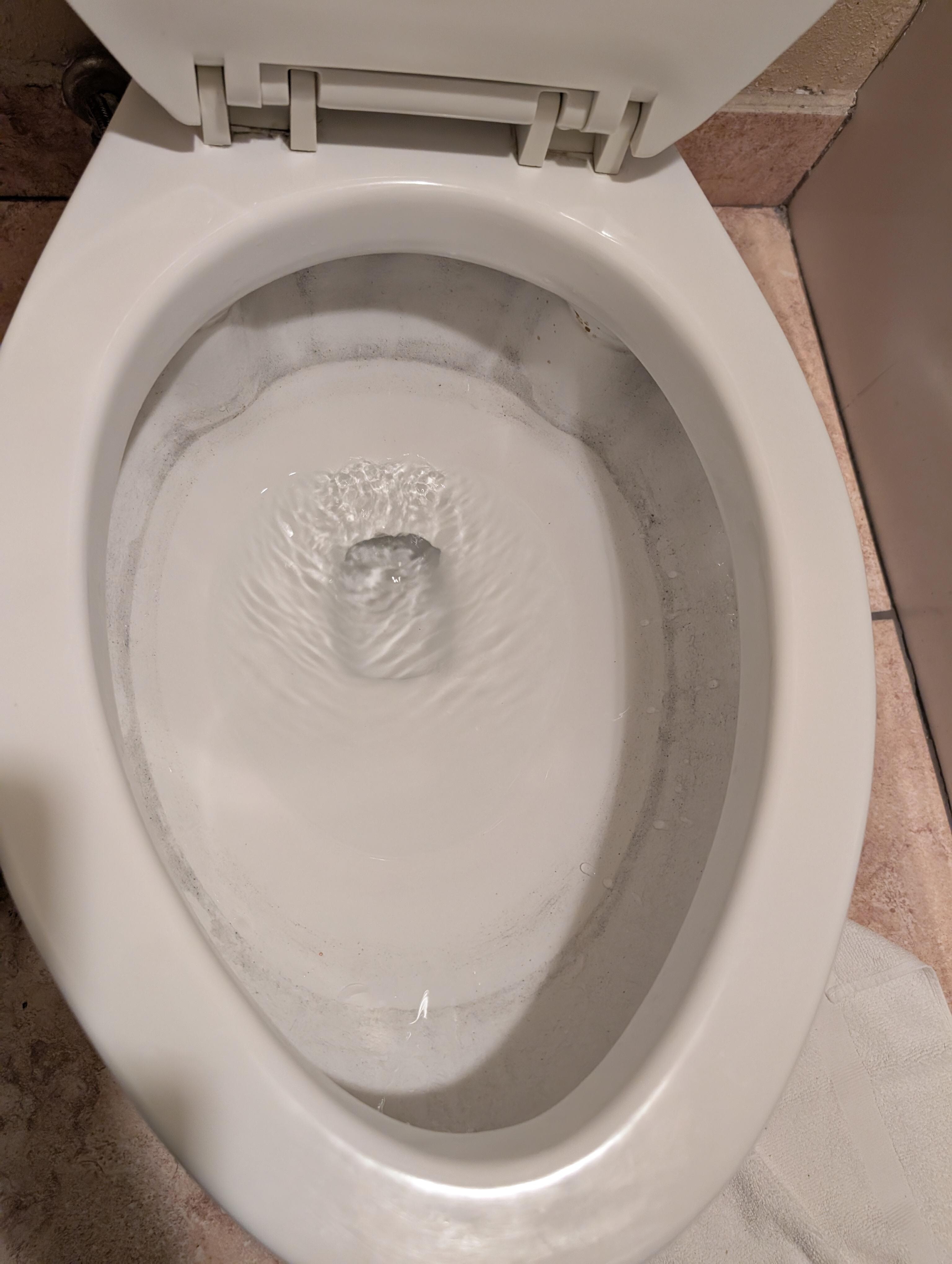 Toilet mildew ring 
