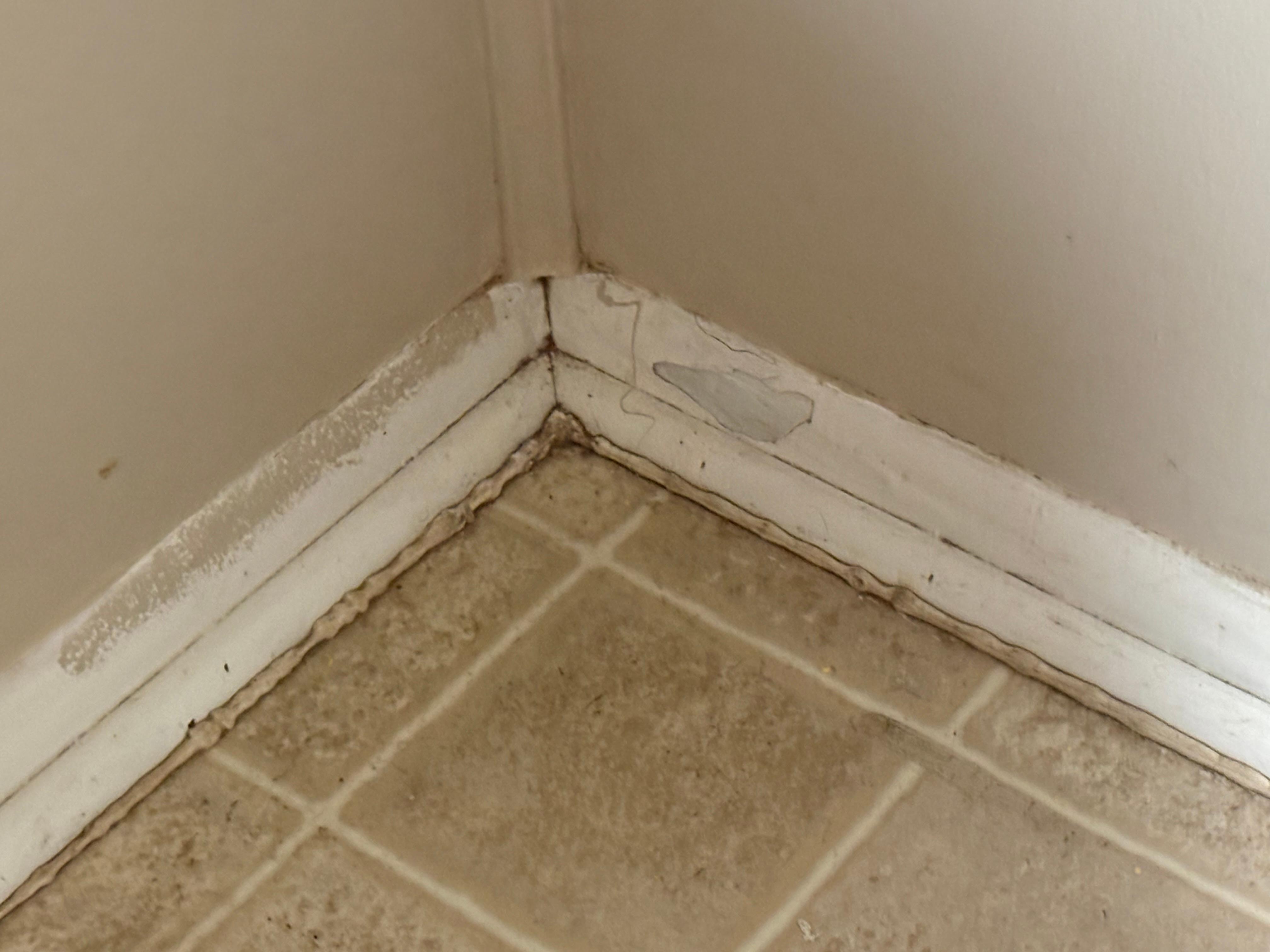 More disgusting dirt. 