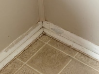 More disgusting dirt.