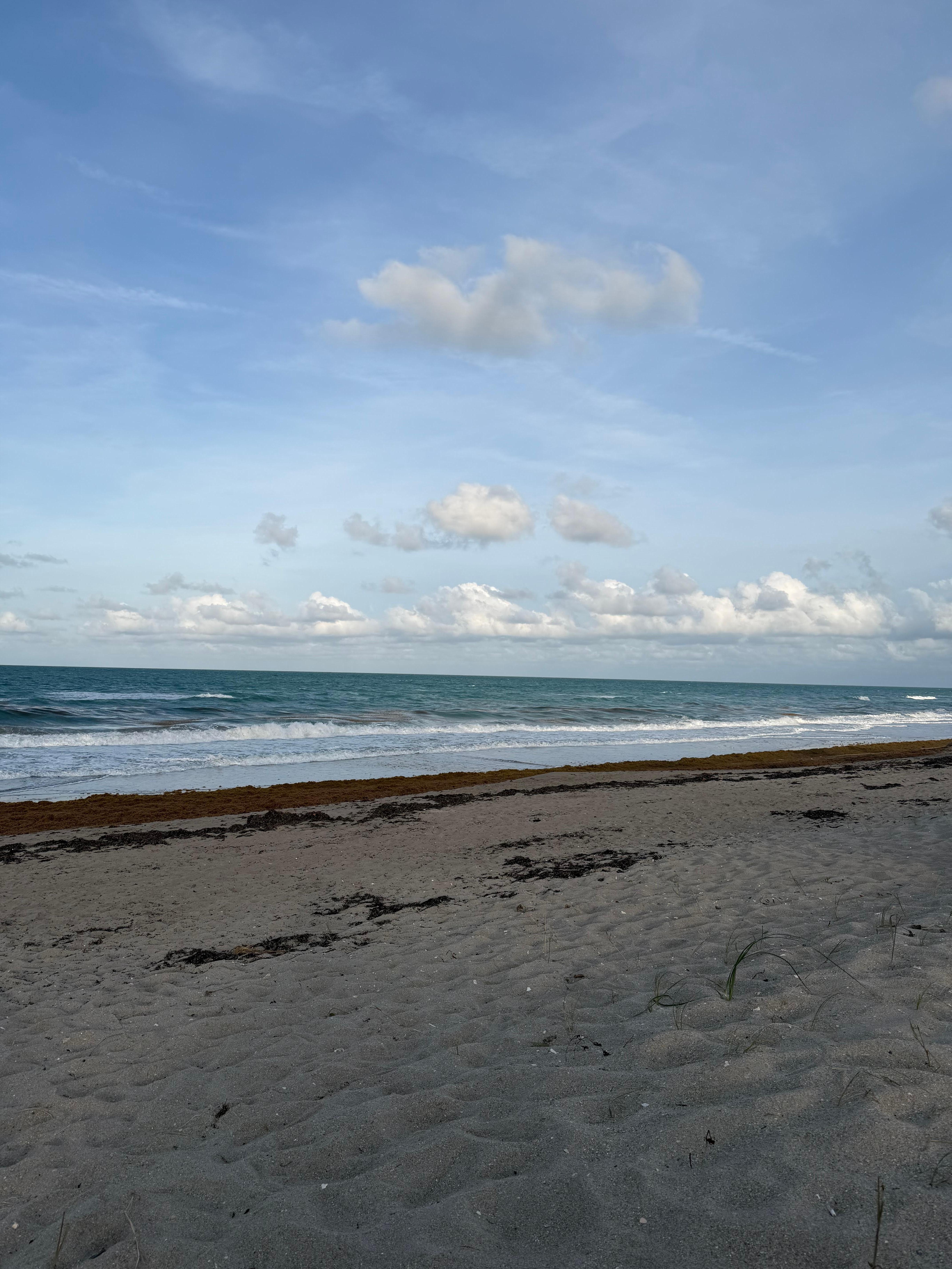 Ocean