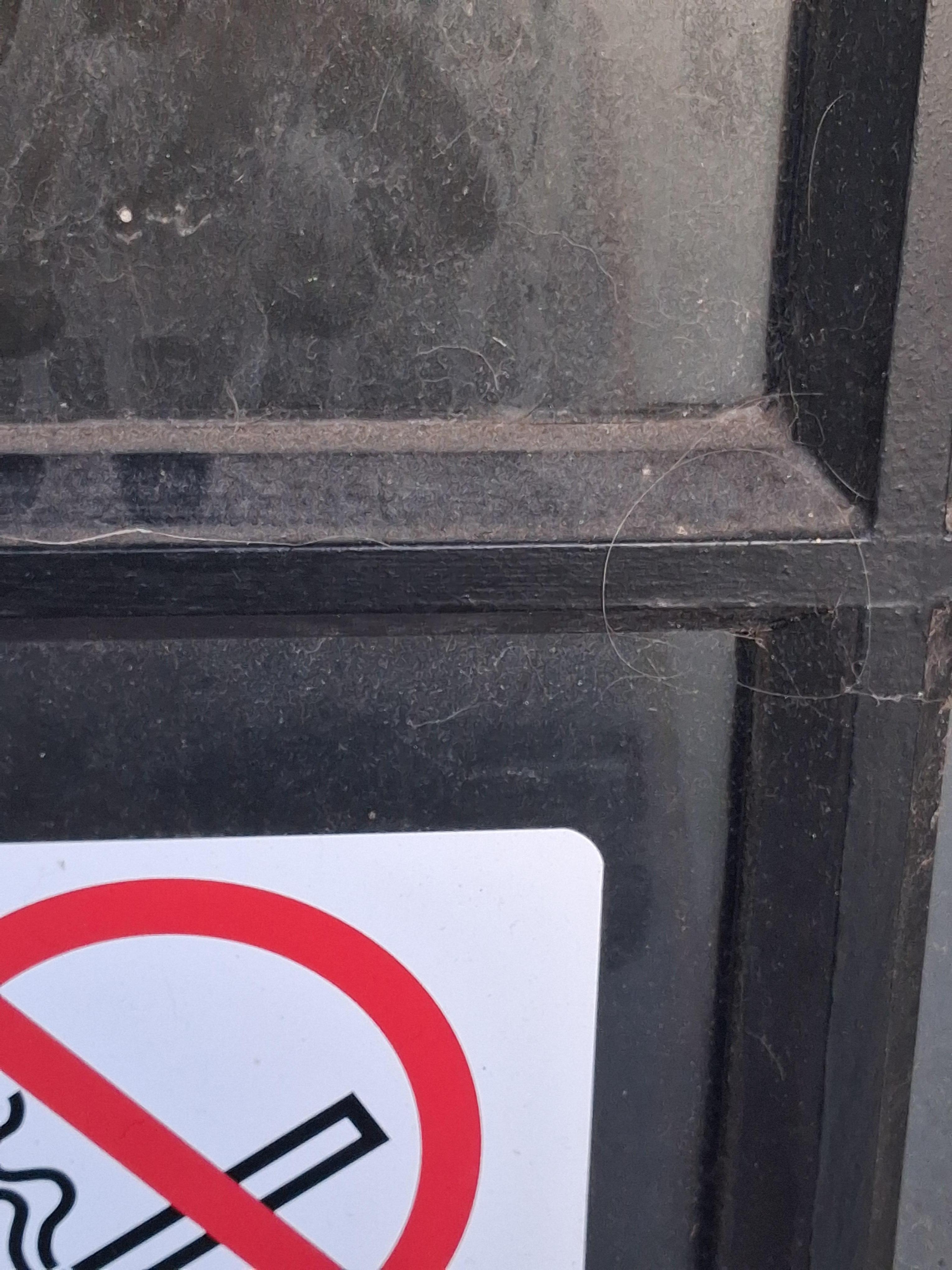 Front door and windows filthy