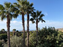 The view from my balcony