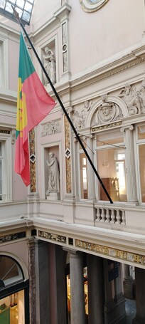 Vista desde la habitación