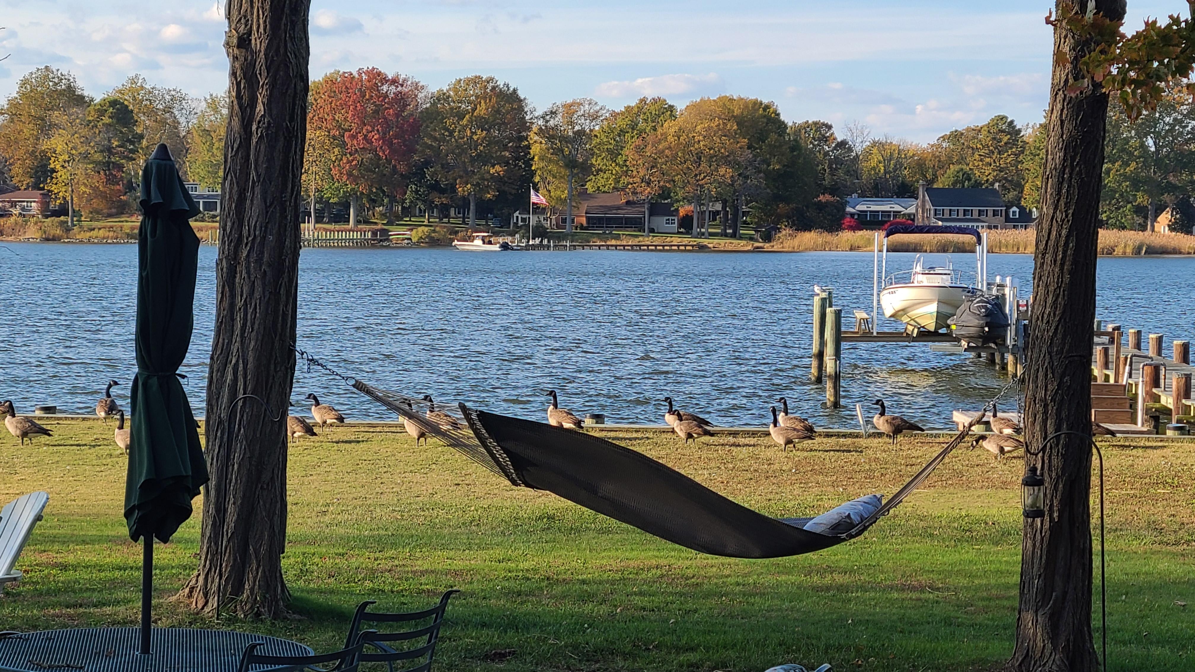 The Chester River Flotilla has landed