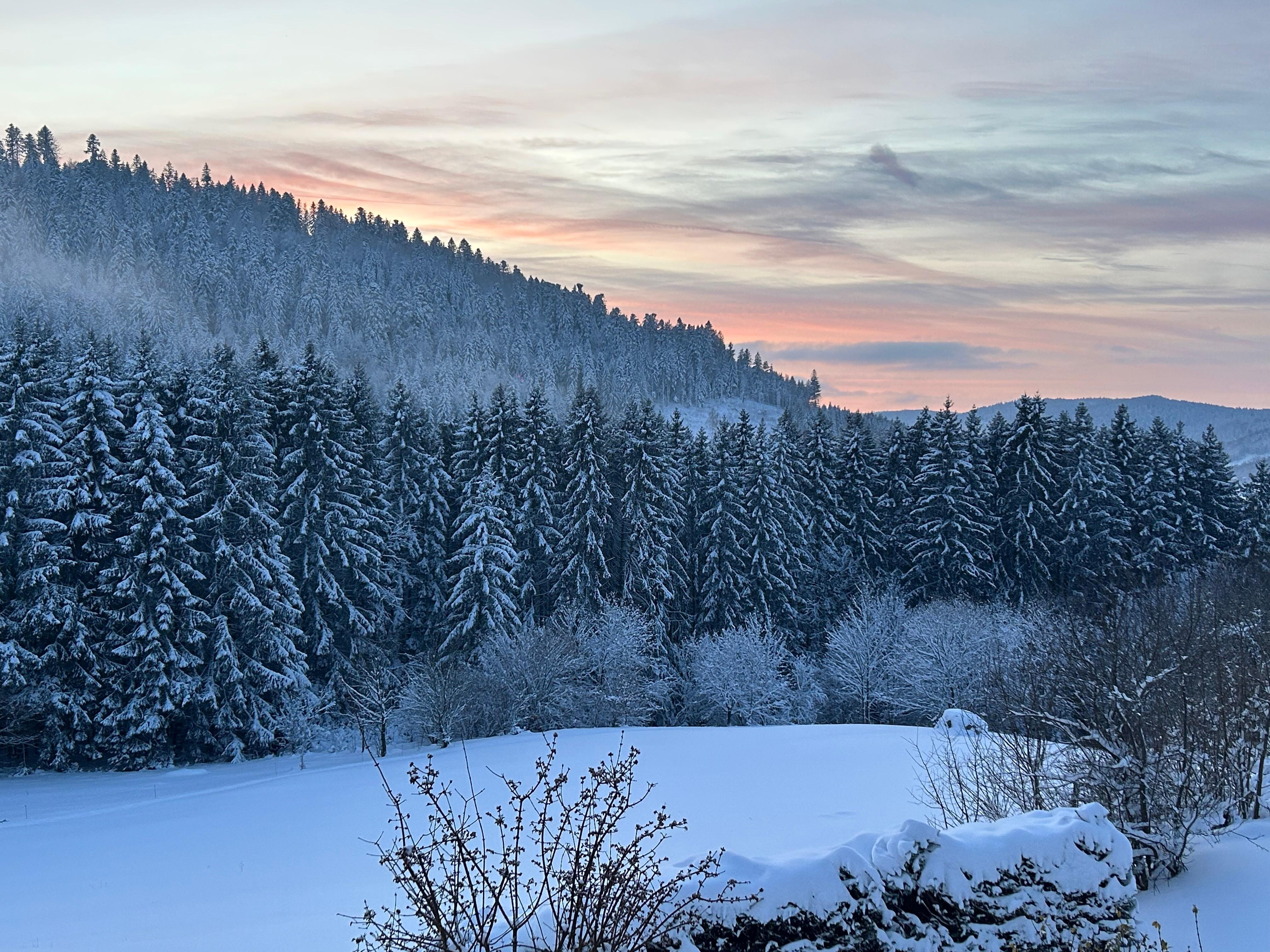 Vu depuis le balcon/ l’entrée.