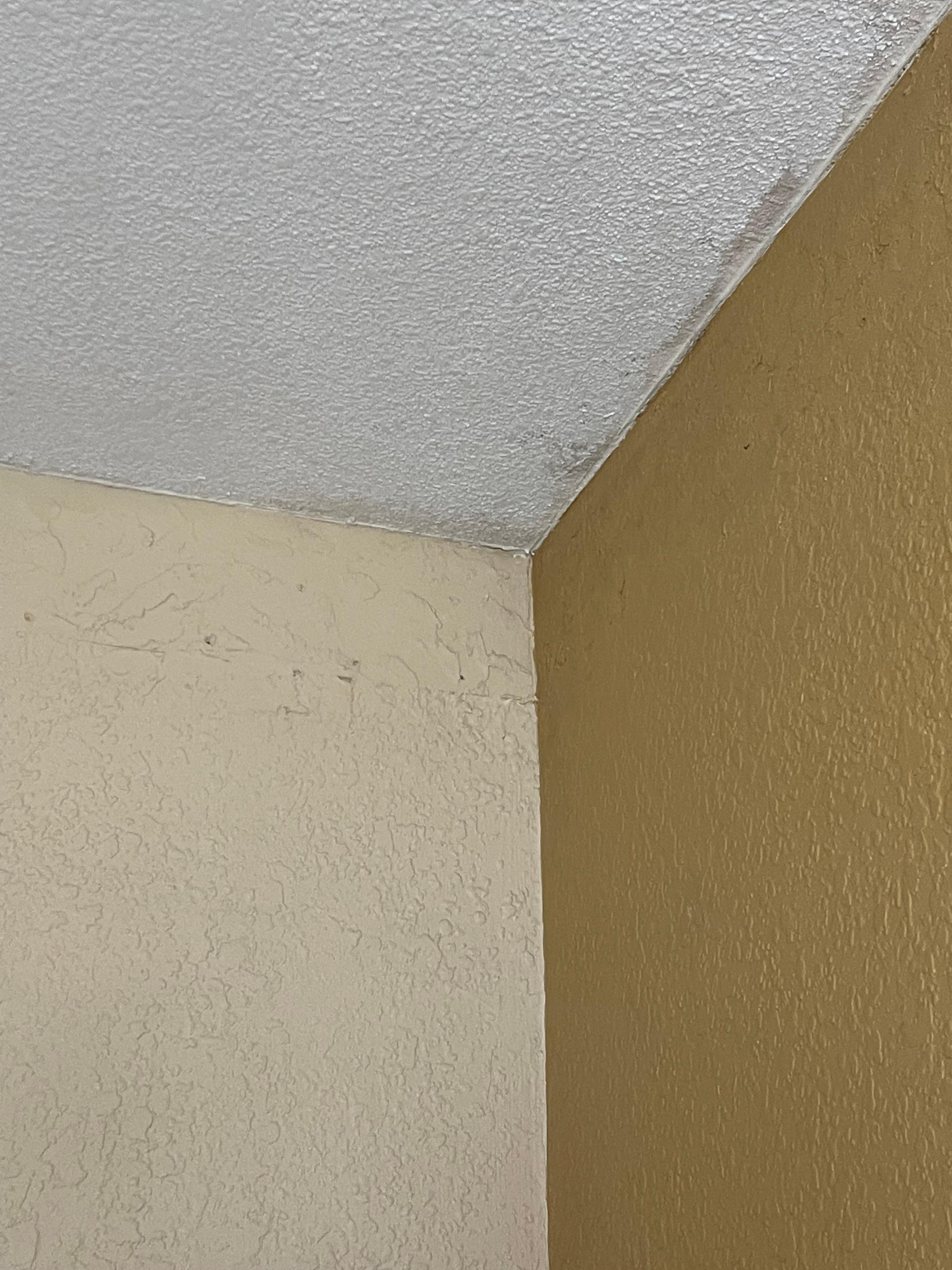 Mold in the ceiling 