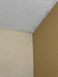 Mold in the ceiling