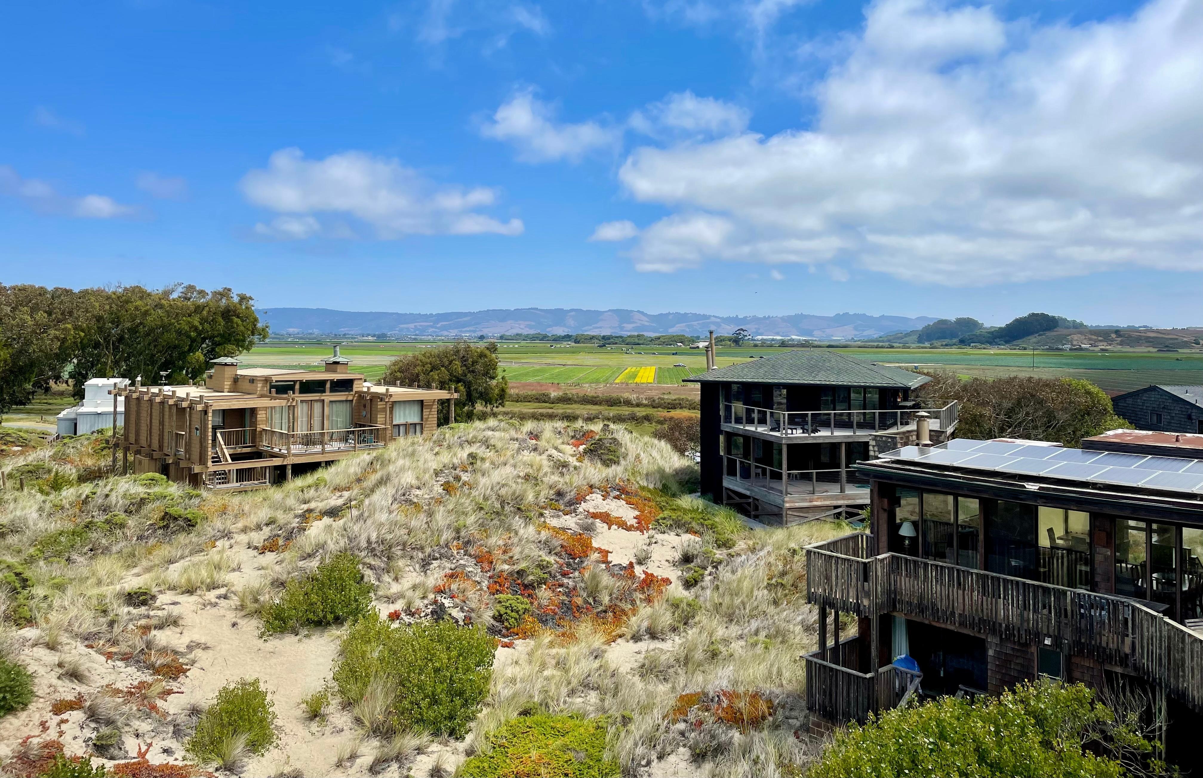 View from the house. 