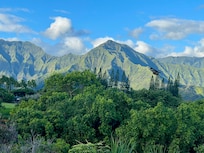 View from lanai