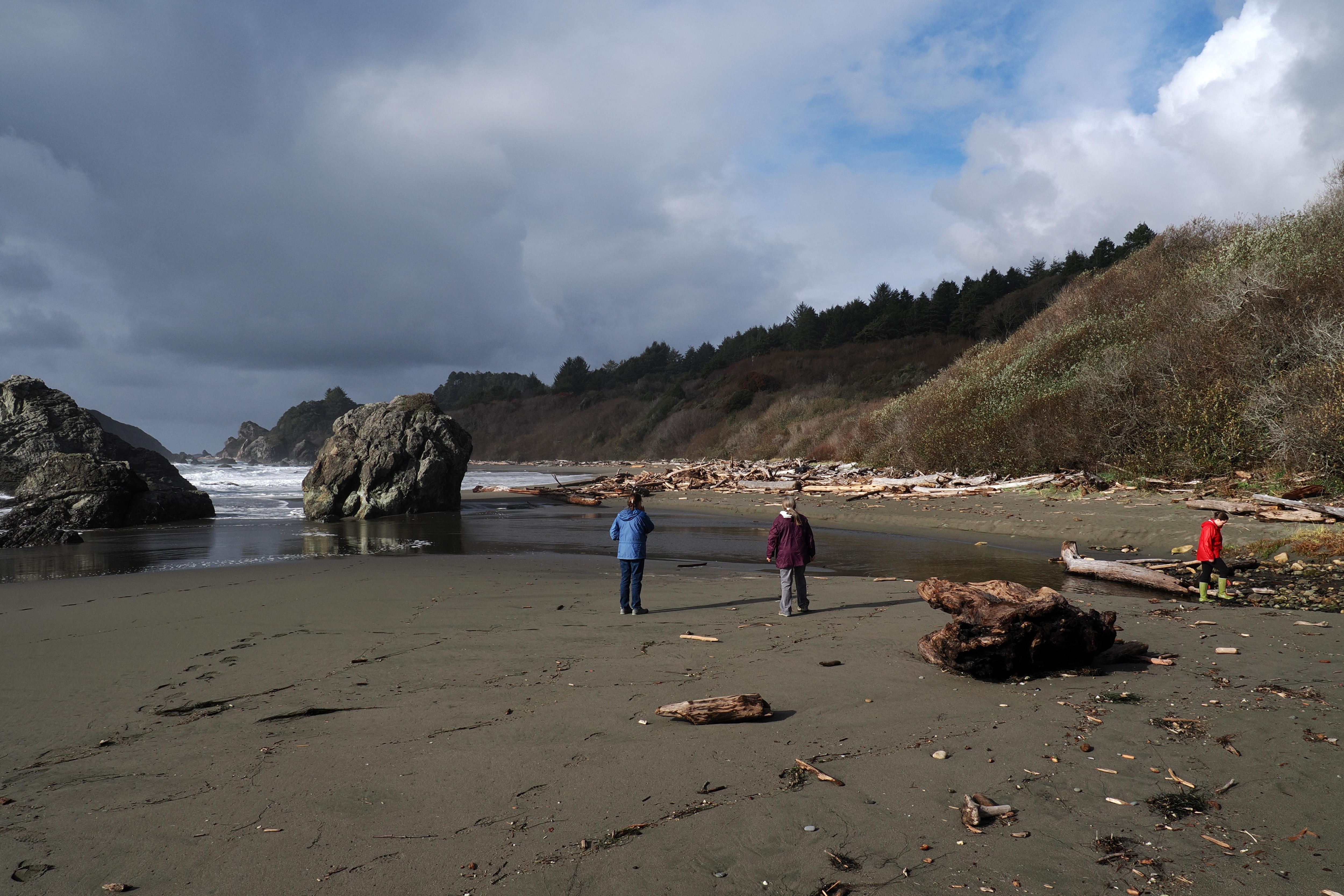 Looking for a crossing of Eiler Creek. This is just north of Harris Beach House, and just into the State Park boundary.