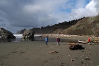 Looking for a crossing of Eiler Creek. This is just north of Harris Beach House, and just into the State Park boundary.
