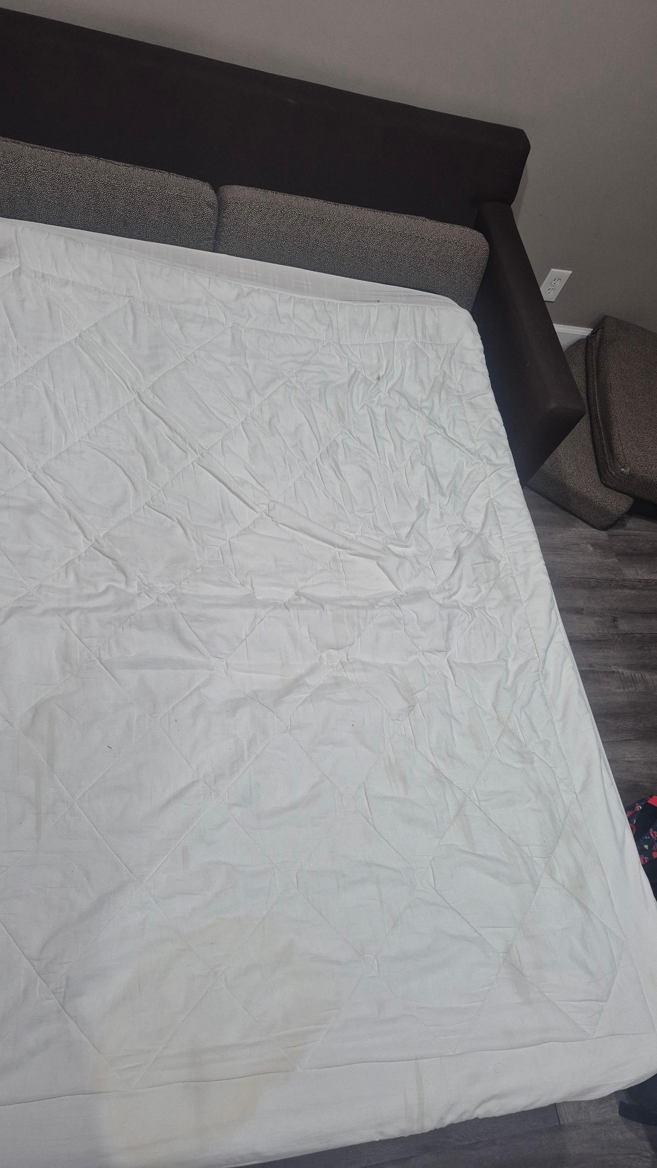 The sofa bed had pee stains on the blanket