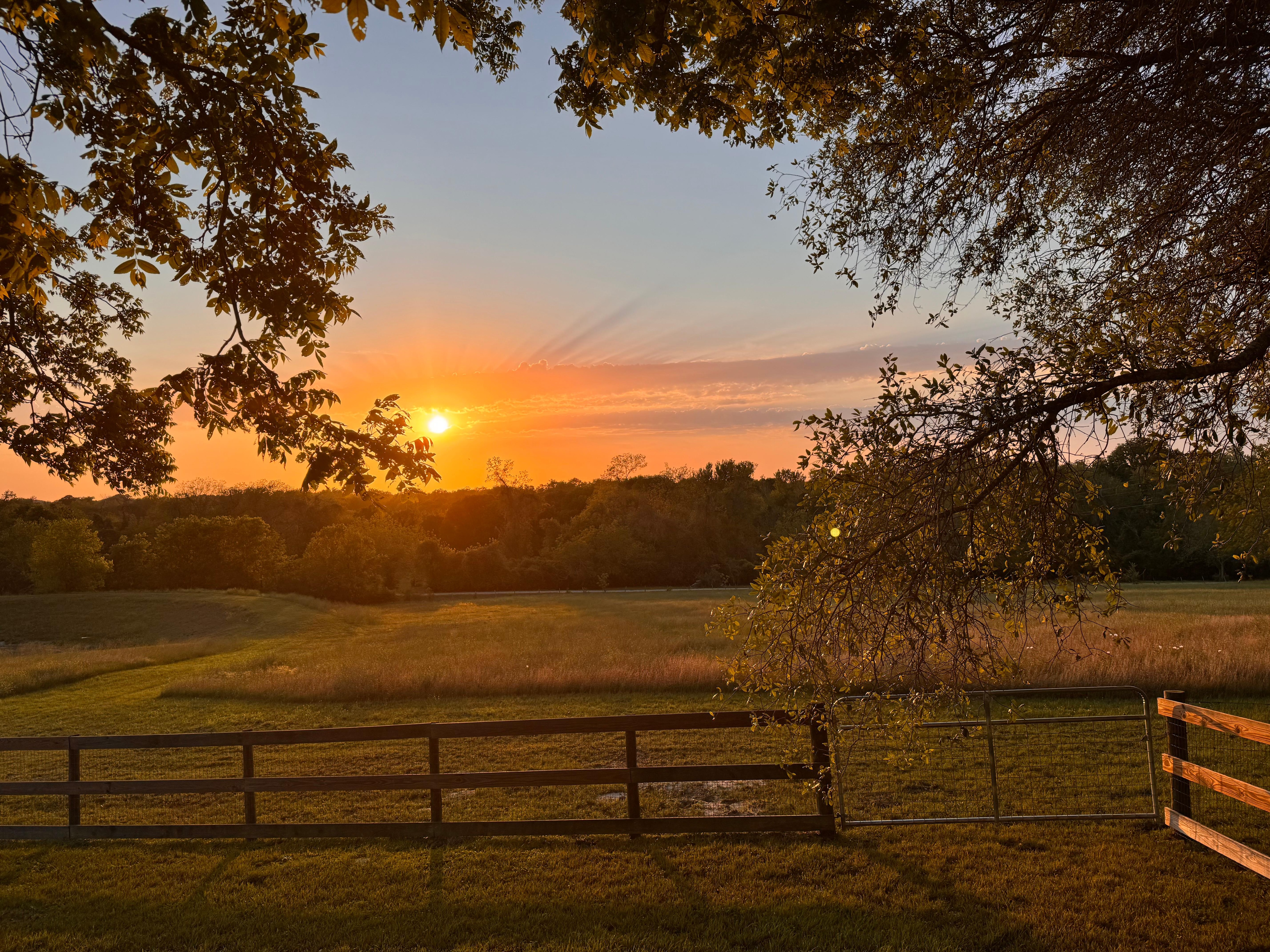 Beautiful sunsets from the back porch. 