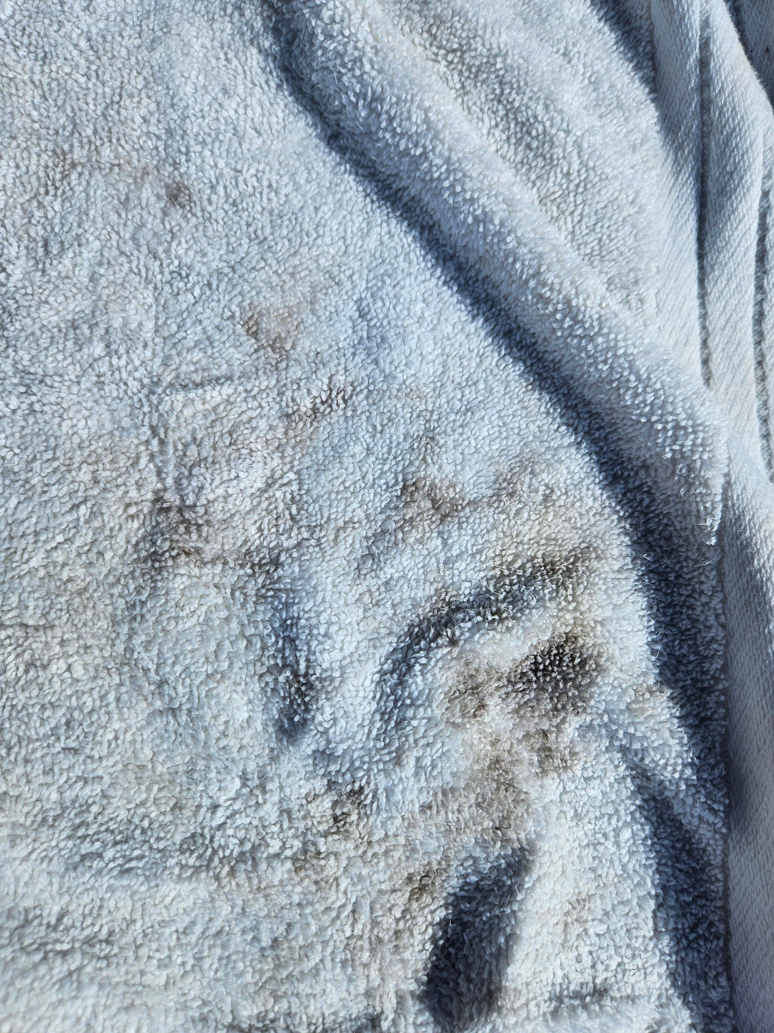 Moldy towel 