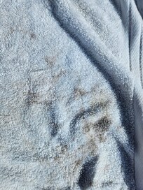 Moldy towel