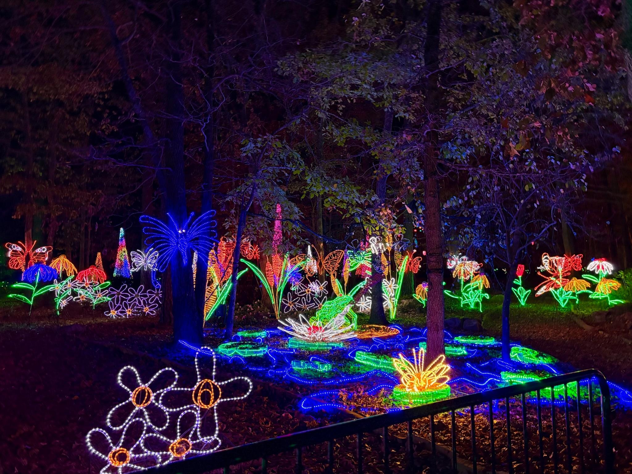 Garvan Woodlands Holiday Lights