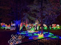 Garvan Woodlands Holiday Lights