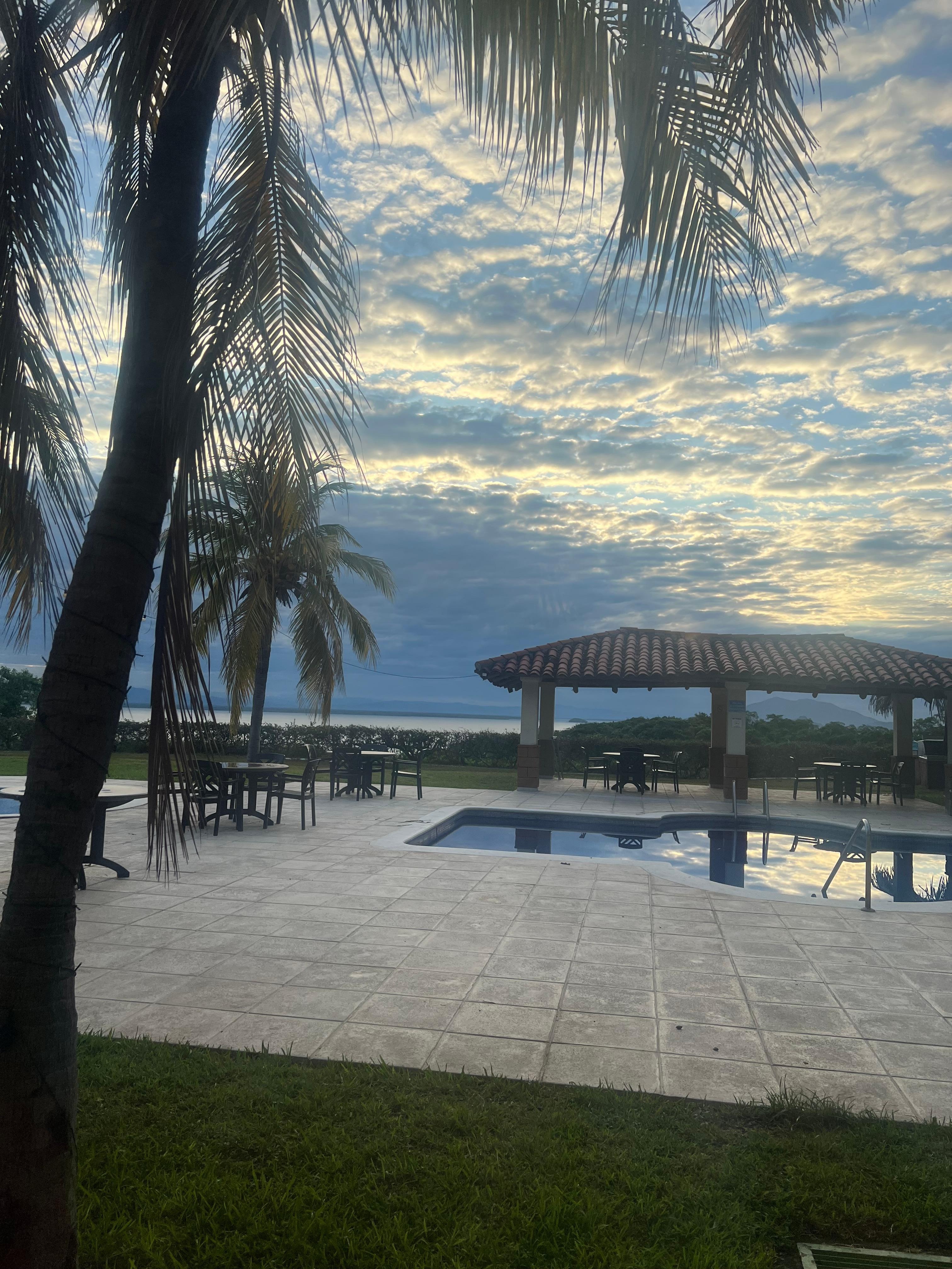 The view from the room 
